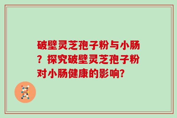 破壁灵芝孢子粉与小肠？探究破壁灵芝孢子粉对小肠健康的影响？