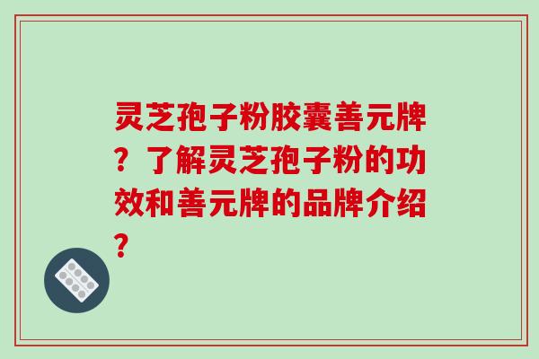灵芝孢子粉胶囊善元牌？了解灵芝孢子粉的功效和善元牌的品牌介绍？