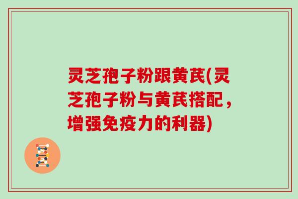 灵芝孢子粉跟黄芪(灵芝孢子粉与黄芪搭配，增强免疫力的利器)