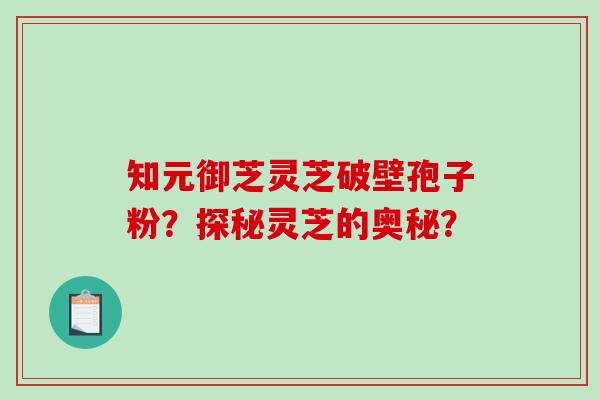 知元御芝灵芝破壁孢子粉？探秘灵芝的奥秘？
