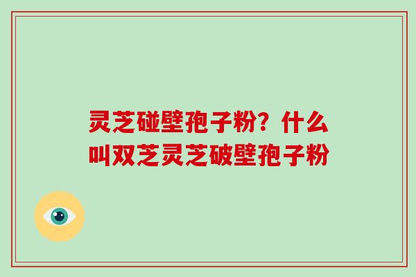 灵芝碰壁孢子粉？什么叫双芝灵芝破壁孢子粉