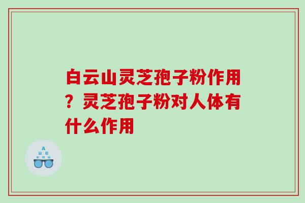 白云山灵芝孢子粉作用？灵芝孢子粉对人体有什么作用