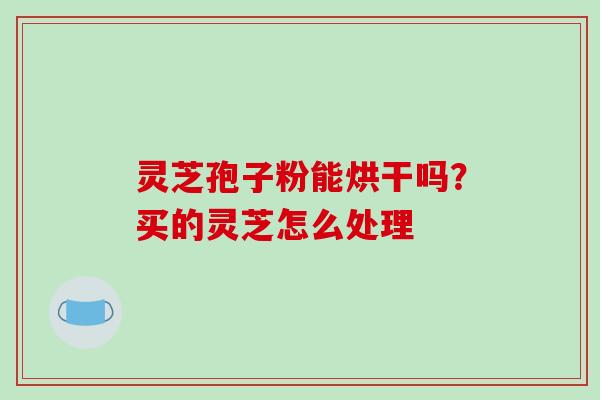 灵芝孢子粉能烘干吗？买的灵芝怎么处理