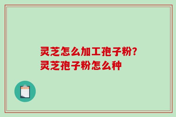 灵芝怎么加工孢子粉？灵芝孢子粉怎么种