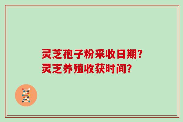 灵芝孢子粉采收日期？灵芝养殖收获时间？