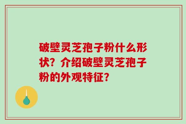 破壁灵芝孢子粉什么形状？介绍破壁灵芝孢子粉的外观特征？