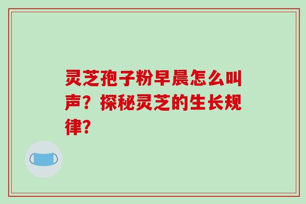 灵芝孢子粉早晨怎么叫声？探秘灵芝的生长规律？