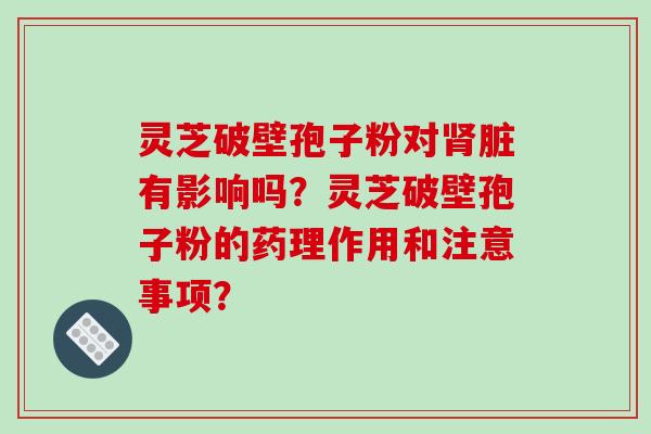 灵芝破壁孢子粉对肾脏有影响吗？灵芝破壁孢子粉的药理作用和注意事项？