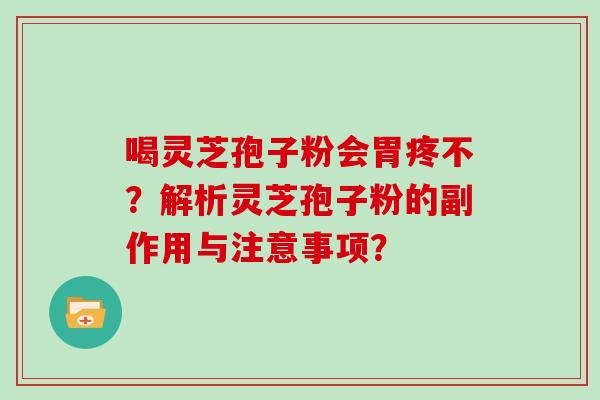 喝灵芝孢子粉会胃疼不？解析灵芝孢子粉的副作用与注意事项？