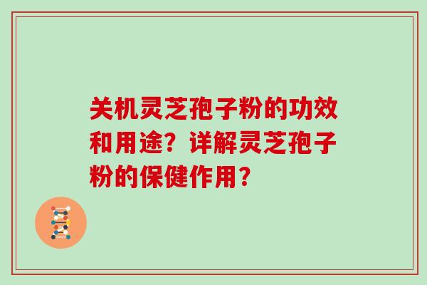 关机灵芝孢子粉的功效和用途？详解灵芝孢子粉的保健作用？