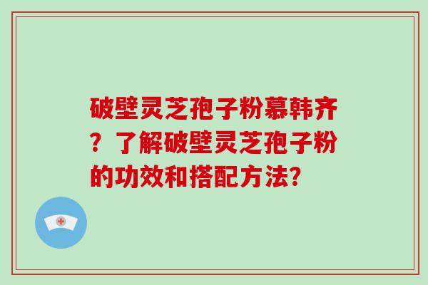 破壁灵芝孢子粉慕韩齐？了解破壁灵芝孢子粉的功效和搭配方法？