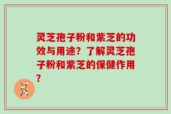 灵芝孢子粉和紫芝的功效与用途？了解灵芝孢子粉和紫芝的保健作用？