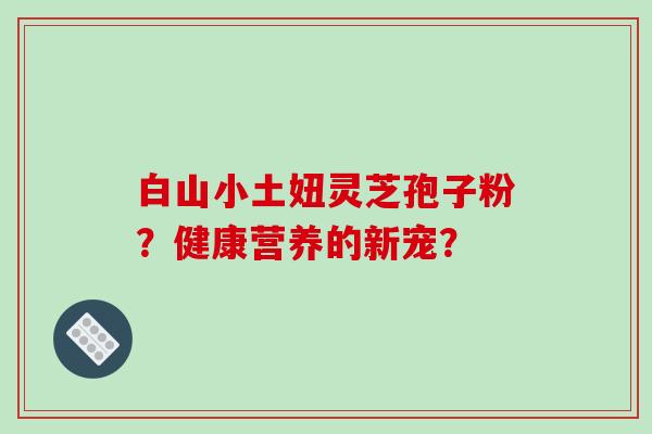 白山小土妞灵芝孢子粉？健康营养的新宠？
