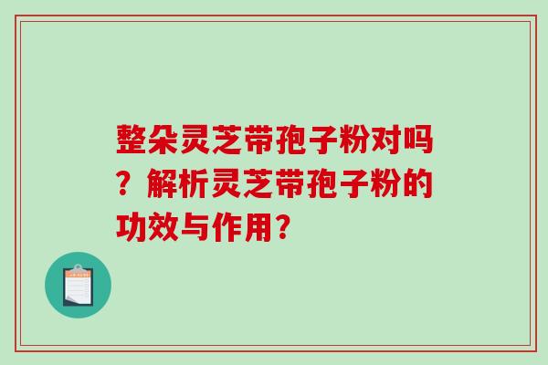 整朵灵芝带孢子粉对吗？解析灵芝带孢子粉的功效与作用？