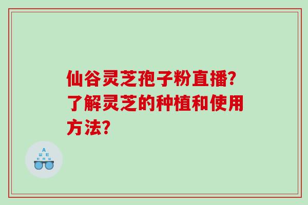 仙谷灵芝孢子粉直播？了解灵芝的种植和使用方法？