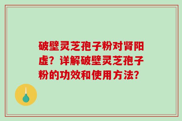 破壁灵芝孢子粉对阳虚？详解破壁灵芝孢子粉的功效和使用方法？