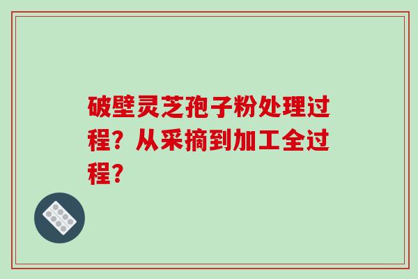 破壁灵芝孢子粉处理过程？从采摘到加工全过程？