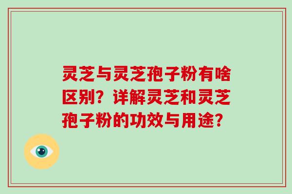 灵芝与灵芝孢子粉有啥区别？详解灵芝和灵芝孢子粉的功效与用途？