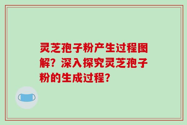 灵芝孢子粉产生过程图解？深入探究灵芝孢子粉的生成过程？