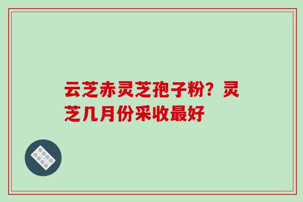 云芝赤灵芝孢子粉？灵芝几月份采收好