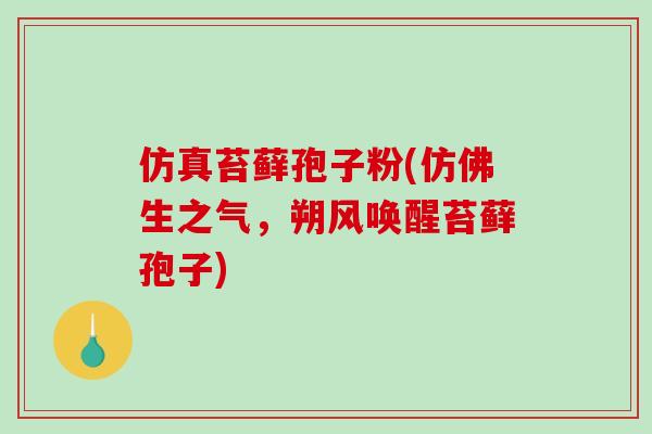 仿真苔藓孢子粉(仿佛生之气，朔风唤醒苔藓孢子)