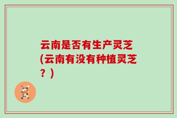 云南是否有生产灵芝 (云南有没有种植灵芝？)