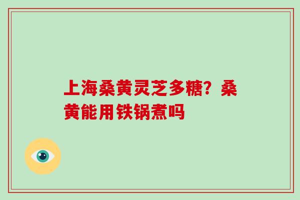 上海桑黄灵芝多糖？桑黄能用铁锅煮吗