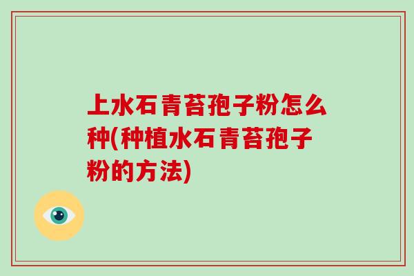 上水石青苔孢子粉怎么种(种植水石青苔孢子粉的方法)