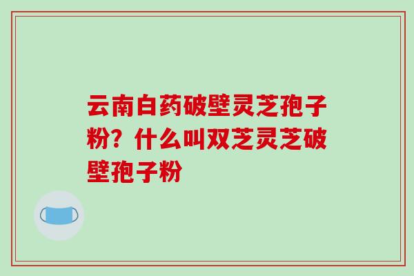 云南白药破壁灵芝孢子粉？什么叫双芝灵芝破壁孢子粉