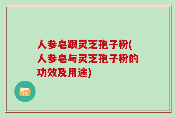 人参皂跟灵芝孢子粉(人参皂与灵芝孢子粉的功效及用途)