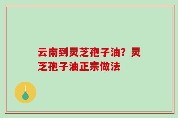 云南到灵芝孢子油？灵芝孢子油正宗做法
