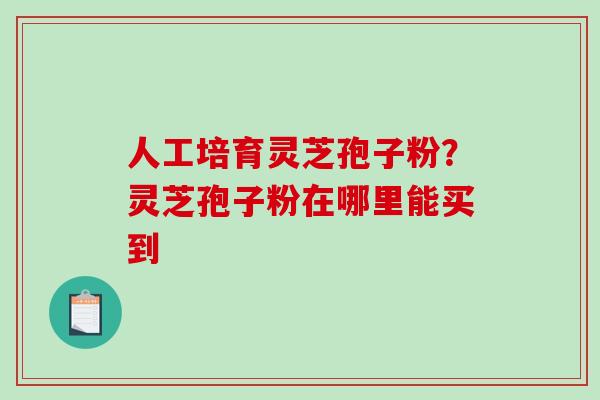 人工培育灵芝孢子粉？灵芝孢子粉在哪里能买到