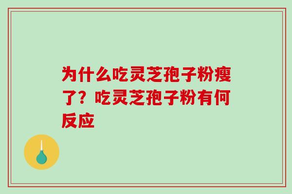 为什么吃灵芝孢子粉瘦了？吃灵芝孢子粉有何反应