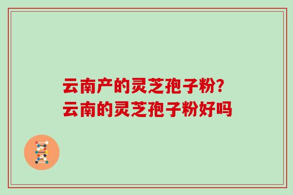 云南产的灵芝孢子粉？云南的灵芝孢子粉好吗