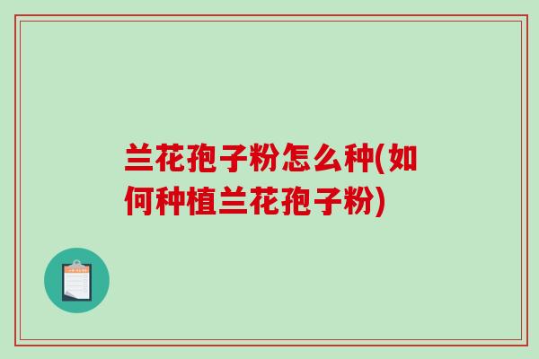 兰花孢子粉怎么种(如何种植兰花孢子粉)
