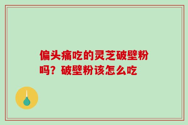 偏头痛吃的灵芝破壁粉吗？破壁粉该怎么吃