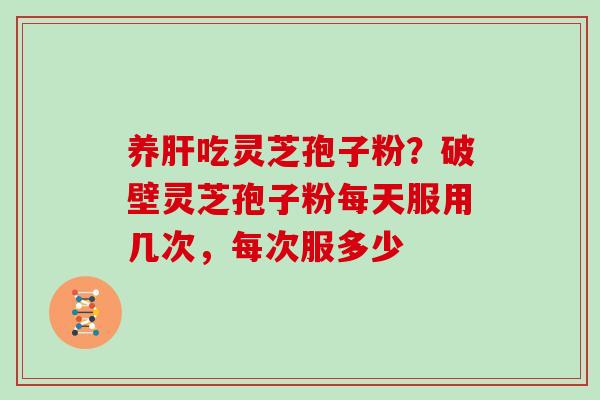 养肝吃灵芝孢子粉？破壁灵芝孢子粉每天服用几次，每次服多少