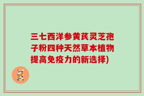 三七西洋参黄芪灵芝孢子粉四种天然草本植物提高免疫力的新选择)