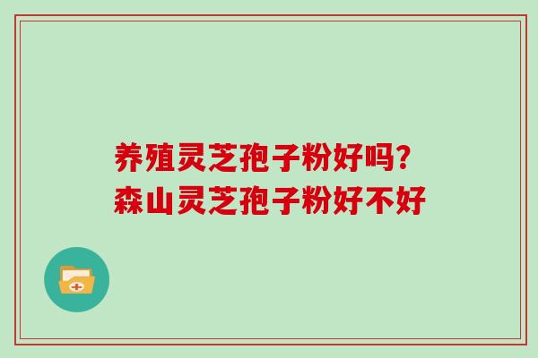 养殖灵芝孢子粉好吗？森山灵芝孢子粉好不好