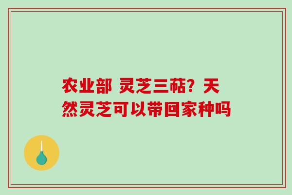 农业部 灵芝三萜？天然灵芝可以带回家种吗