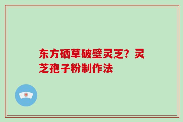 东方硒草破壁灵芝？灵芝孢子粉制作法