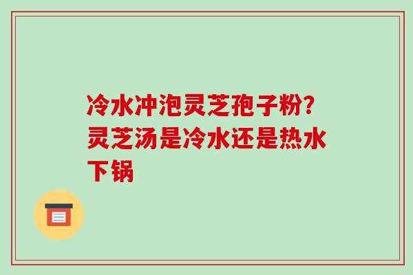 冷水冲泡灵芝孢子粉？灵芝汤是冷水还是热水下锅