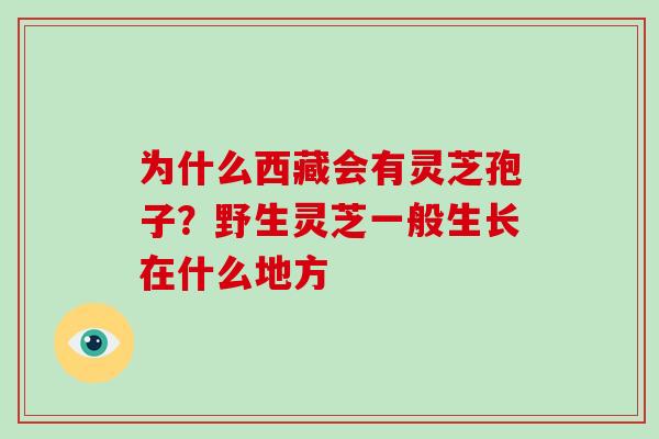为什么西藏会有灵芝孢子？野生灵芝一般生长在什么地方