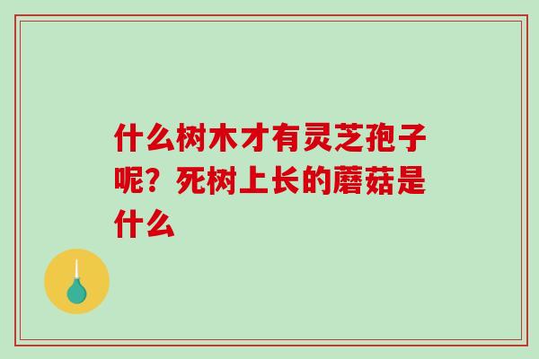 什么树木才有灵芝孢子呢？死树上长的蘑菇是什么