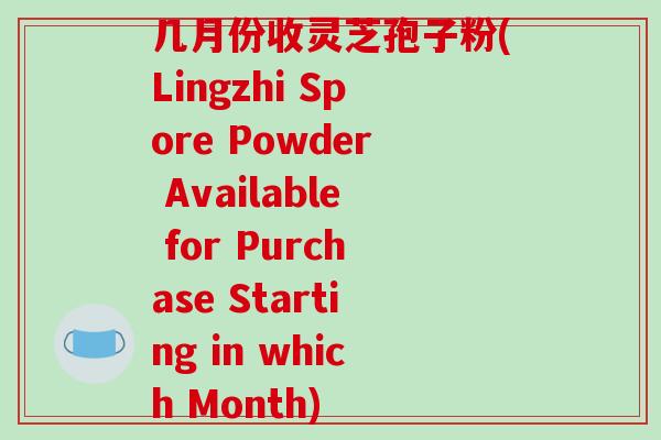 几月份收灵芝孢子粉(Lingzhi Spore Powder Available for Purchase Starting in which Month)