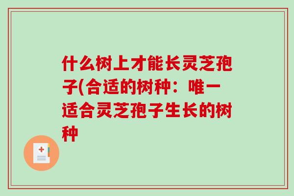 什么树上才能长灵芝孢子(合适的树种：唯一适合灵芝孢子生长的树种