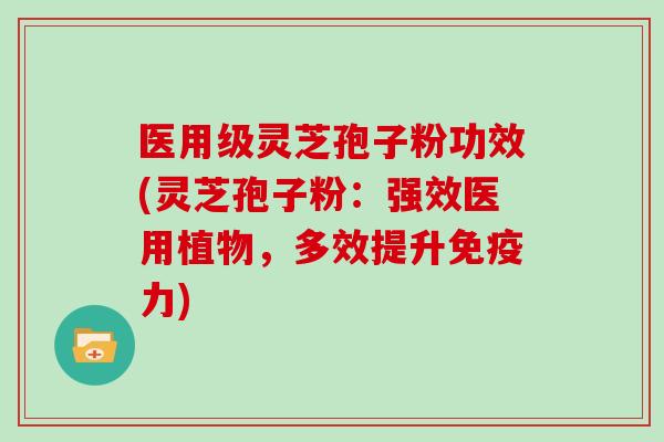 医用级灵芝孢子粉功效(灵芝孢子粉：强效医用植物，多效提升免疫力)