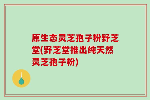 原生态灵芝孢子粉野芝堂(野芝堂推出纯天然灵芝孢子粉)