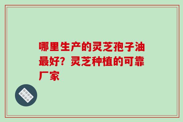 哪里生产的灵芝孢子油好？灵芝种植的可靠厂家