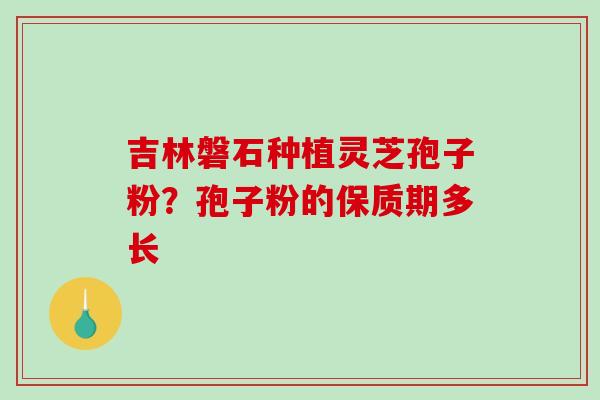 吉林磐石种植灵芝孢子粉？孢子粉的保质期多长